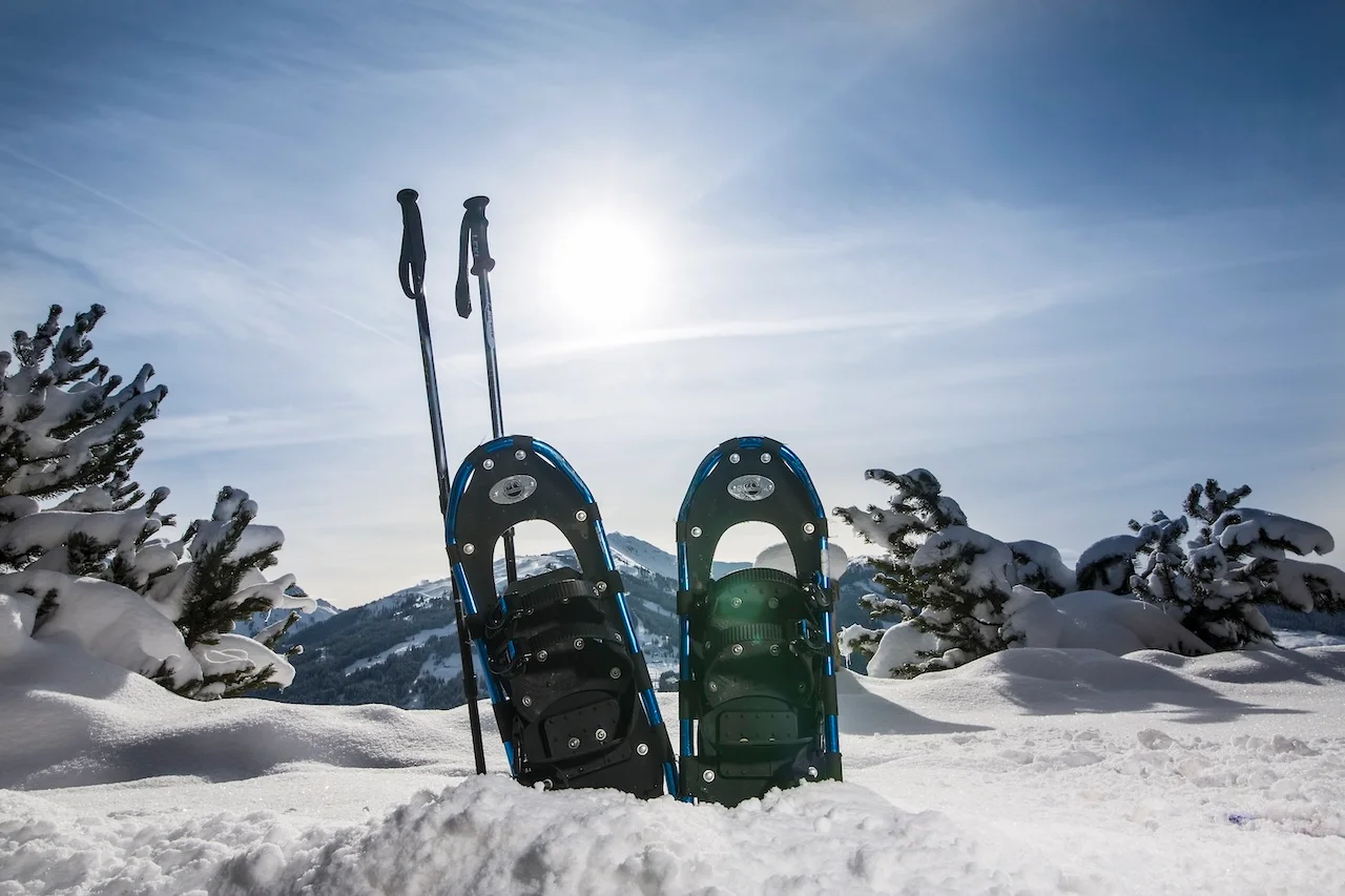 Appartement Rossalm - Skibretter