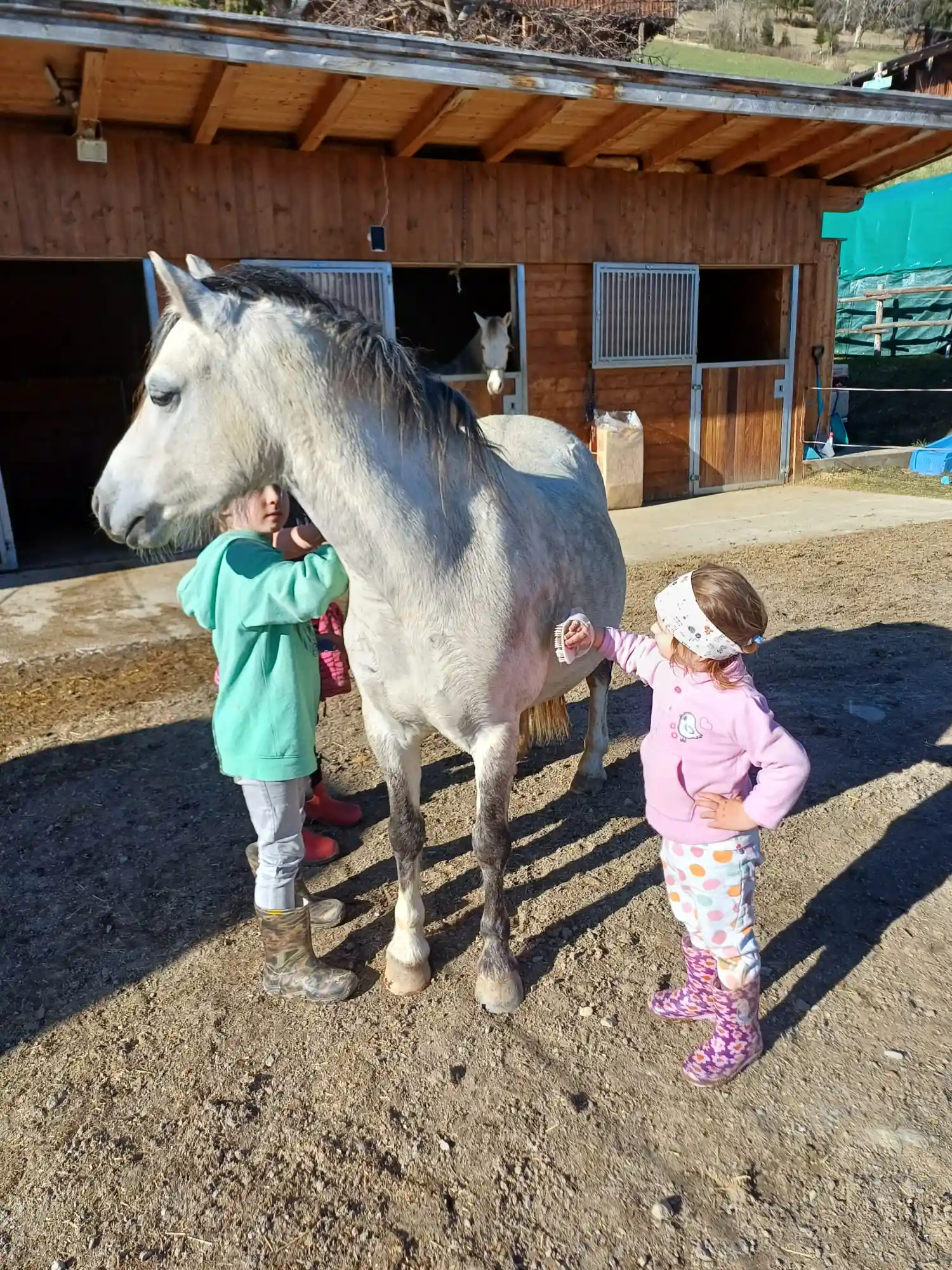 Appartement Rossalm - Skifahren